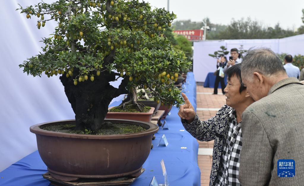 必发365游戏官方网址